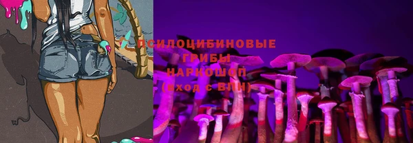 хмурый Новозыбков