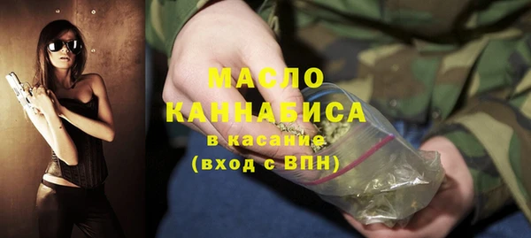 хмурый Новозыбков