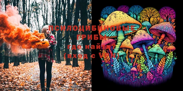 хмурый Новозыбков
