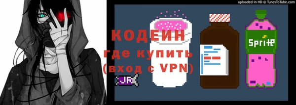 хмурый Новозыбков