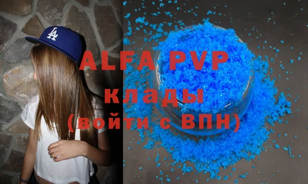 хмурый Новозыбков