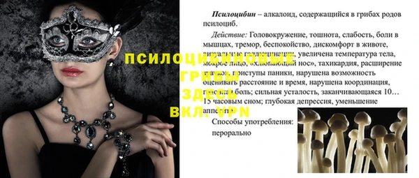 хмурый Новозыбков