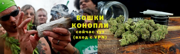 хмурый Новозыбков