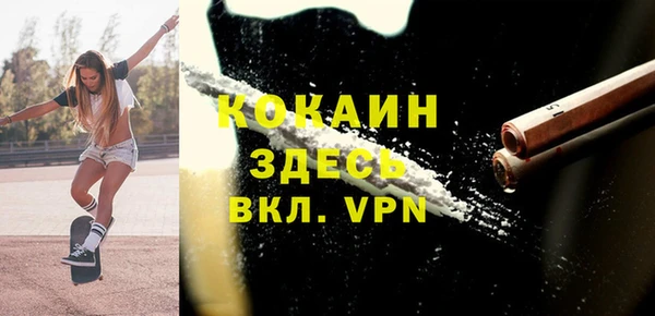 хмурый Новозыбков