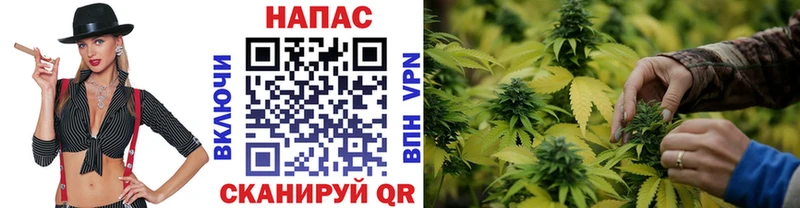 Бошки Шишки VHQ  дарк нет Telegram  Осташков 